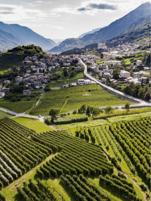 Valtellina