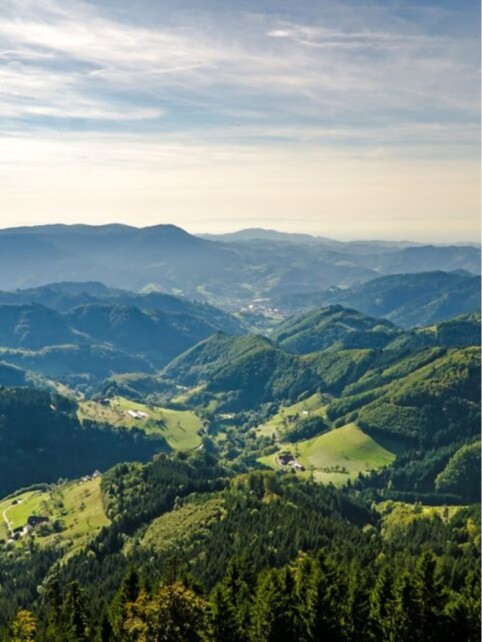 Schwarzwald